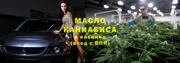 индика Верхний Тагил