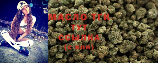индика Верхний Тагил