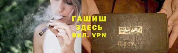 индика Верхний Тагил