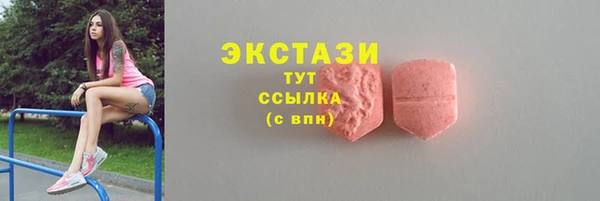 индика Верхний Тагил
