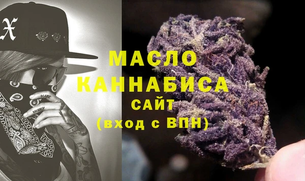 индика Верхний Тагил