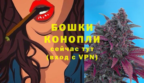 индика Верхний Тагил
