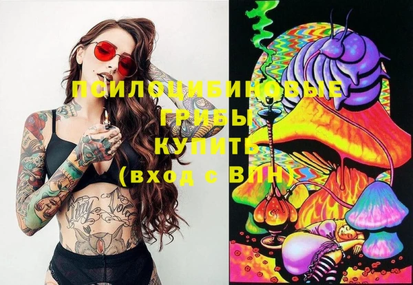 индика Верхний Тагил