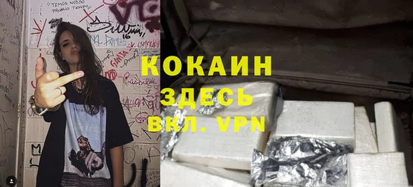 индика Верхний Тагил