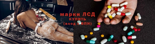 индика Верхний Тагил