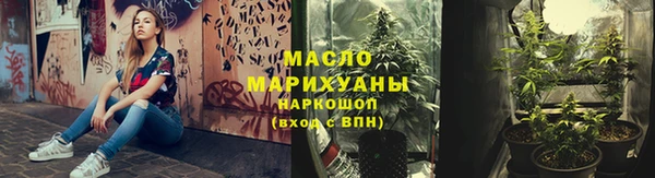 индика Верхний Тагил